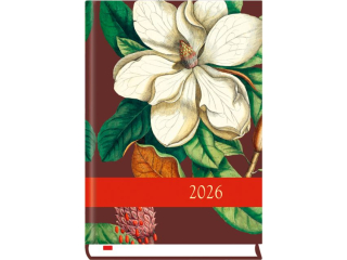 Kalendarz książkowy MP B6 Powszechny 2026 - 01