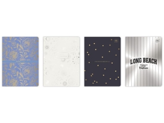 Zeszyt A5 60k. INTERDRUK Metalic linia