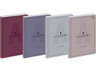 Brulion A5 96k. INTETRDRUK 90g Academy, kratka