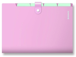 Teczka z 5-ma przegr�dkami A4 PENMATE PP-105 pastelowa - fioletowa