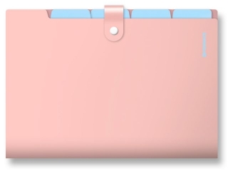 Teczka z 5-ma przegr�dkami A4 PENMATE PP-105 pastelowa - pomara�czowa