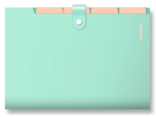 Teczka z 5-ma przegr�dkami A4 PENMATE PP-105 pastelowa - zielona