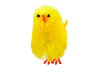 Kurczaki wielk..WKZ-50 - 5 CM