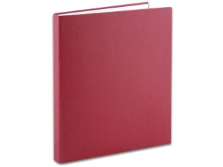 Segregator PENMATE A4/4 w�ski 2cm Ecoline mat - bordowy