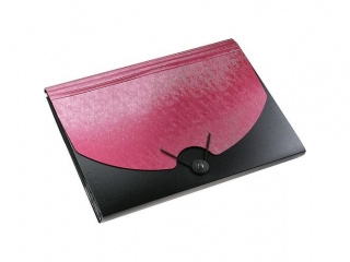 Teczka segreguj�ca PP TITANUM A4 z gumk� 13 przegr�dek czarn