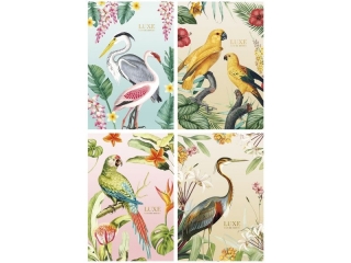 Brulion, B5 KR 80K kremowy papier 70g, ok�adka integralna p�twarda 440g [opakowanie= 4szt]