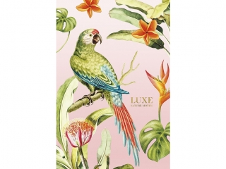 Brulion, B5 KR 80K kremowy papier 70g, ok�adka integralna p�twarda 440g [opakowanie= 4szt]