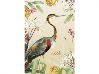 Brulion, B5 KR 80K kremowy papier 70g, ok�adka integralna p�twarda 440g [opakowanie= 4szt]