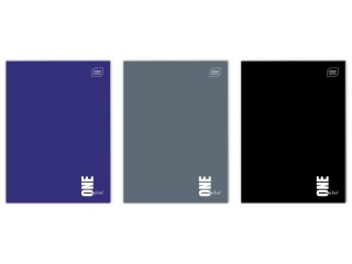 Zeszyt A4 96k. INTERDRUK UV Kolekcja one color, kratka