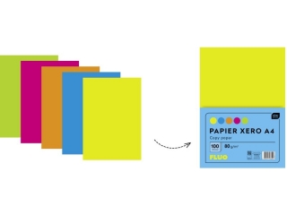Papier xero A4 100 5 kolor�w FLUOx 20 kartek