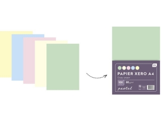Papier xero A4 100 5 kolor�w PASTELx 20 kartek
