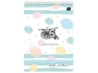 Szkicownik INTERDRUK Koala 242x340 80 kartek