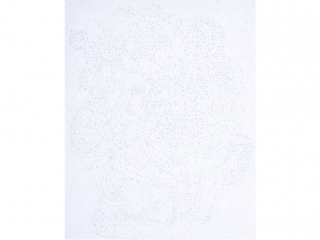 Zestaw z farbami, malowanie wg. numer�w, podobr. 40x50cm, w Piwoniach, ARTEA ASTRA