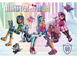 Podkład szkolny na biurko dwustronny 55x38 cm MONSTER HIGH [opakowanie=5szt]