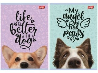 Zeszyt A5 16 kartek krata ok�adka laminowana 70 g/m2 DOG [opakowanie=15szt]