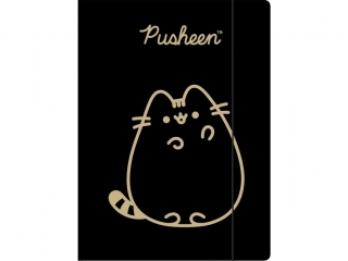 Teczka z gumką A4 300 g/m2 PUSHEEN GOLD [opakowanie=10szt]