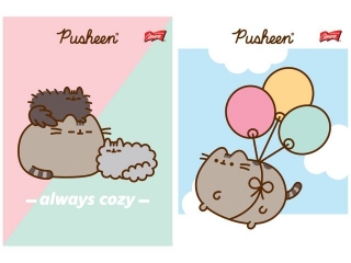 Zeszyt A5 32 kartki linia dwukolorowa okładka laminowana 70 g/m2 PUSHEEN [opakowanie=15szt]