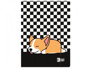 Teczka z gumk A4 300 g/m2 SLEEPY CORGI [opakowanie=10szt]