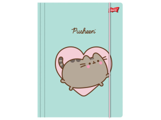 Teczka z gumk� A4 ST.MAJEWSKI 300 g/m2 - PUSHEEN MINT