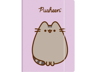Teczka z gumką A4 300 g/m2 PUSHEEN [opakowanie=10szt]