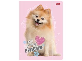 Teczka z gumk� A4 ST.MAJEWSKI 300 g/m2 - MY LITTLE FRIEND, Pies Pomeranian
