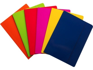Teczka z gumk� A4 REXUS Fluo