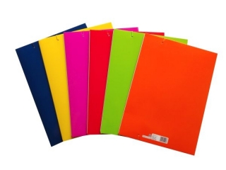 Teczka z gumk� A4 REXUS Fluo