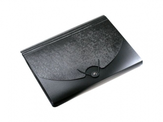 Teczka segreguj�ca PP TITANUM A4 z gumk� 13 przegr�dek czarn