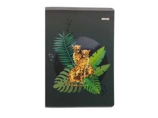 Zeszyt A5 80k. BENIAMIN Premium Soft, kratka