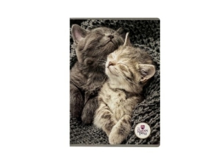 Zeszyt A5 60k. BENIAMIN The Sweet Pets, linia