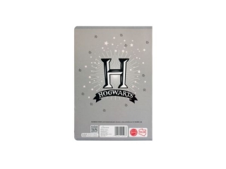 Zeszyt A5 32k. BENIAMIN Harry Potter, kratka