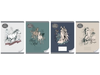 Zeszyt A5 32k. BENIAMIN Nice&Pretty, linia