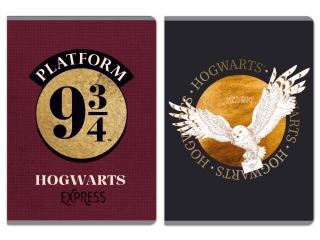 Zeszyt A5 60k. BENIAMIN Harry Potter, linia