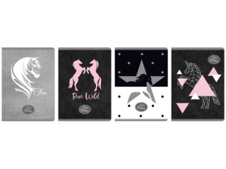 Zeszyt A5 60k. BENIAMIN Nice & Pretty, linia