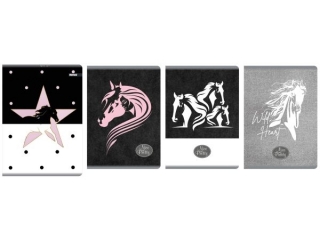 Zeszyt A5 80k. BENIAMIN Nice & Pretty, linia