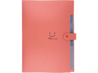 TECZKA PLASTIKOWA A4 Z 5 PRZEGR�DKAMI / CZERWONA