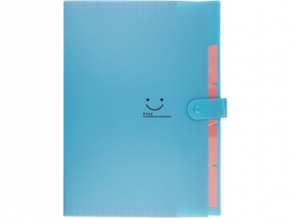 TECZKA PLASTIKOWA A4 Z 5 PRZEGR�DKAMI / NIEBIESKA