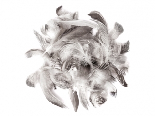 PI�RA KACZE 5-12 CM, 5 G