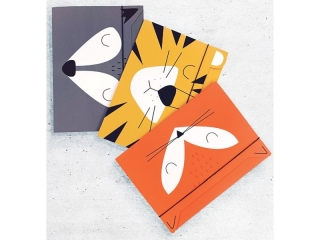 Teczka z gumk� A4+ INTERDRUK BB Boys