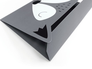 Teczka z gumk� A4+ INTERDRUK BB Boys