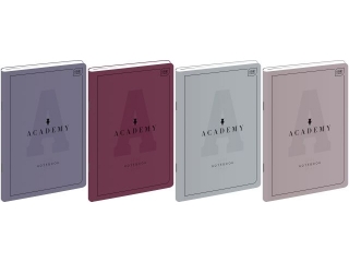 Zeszyt B5 60k. INTERDRUK M 90G Academy, kratka