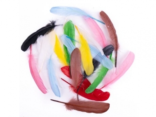 Pi�ra g�sie DPCRAFT 16 cm, 20 szt., multikolor