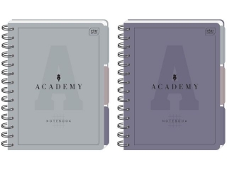 Ko�ozeszyt A5 100k. INTERDRUK Academy 90g przek�adki PP, kratka