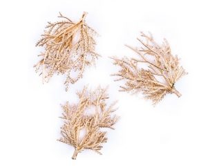 Z�OTE GA��ZKI 9 CM, 3 SZT.