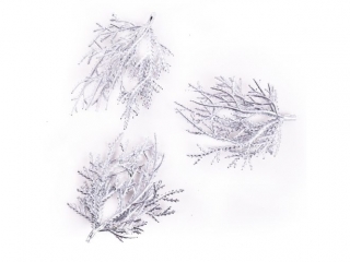 SREBRNE GA��ZKI 9 CM, 3 SZT.