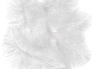 PI�RA INDYCZE 15 CM, 5 SZT. BIA�E