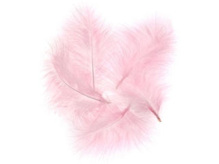 PI�RA INDYCZE 15 CM, 5 SZT. RӯOWE