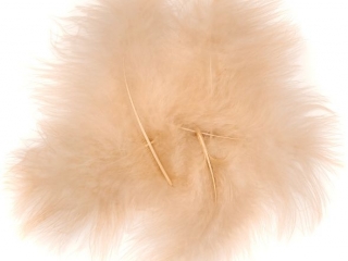 PI�RA INDYCZE 15 CM, 5 SZT. BE�OWE