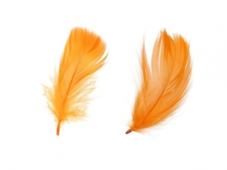 Pi�rka puch 16g pomara�czowe