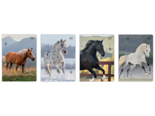 Zeszyt A5 32 kol3= 70g UV Wild Horses [opakowanie=10szt]